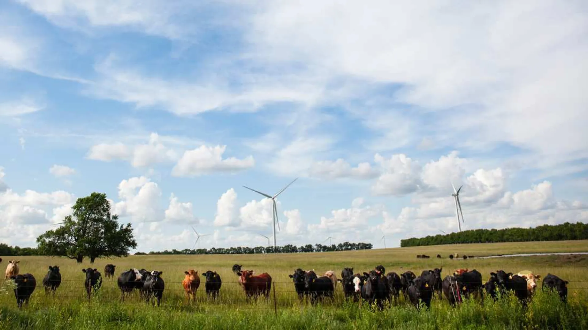 Waverly wind farm