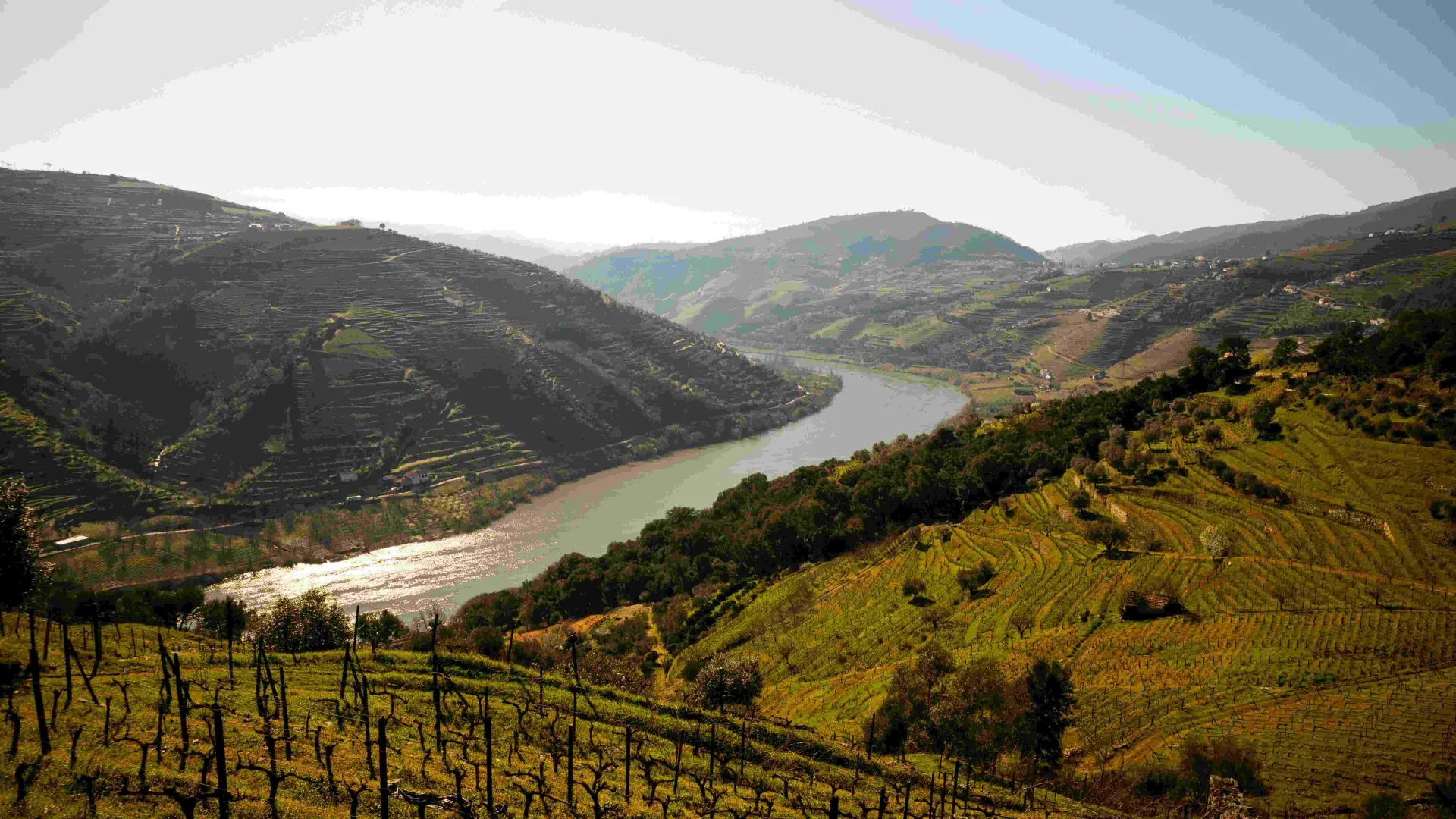 Image of the river Douro Valley in Portugal