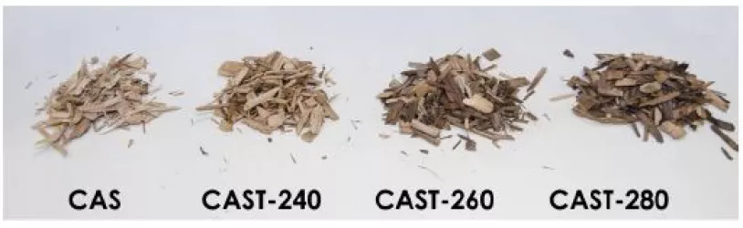 carbiotor4.jpg