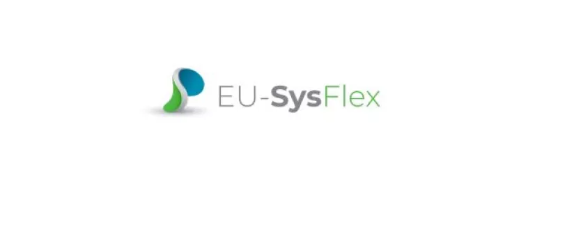 eu-sys-flex.JPG