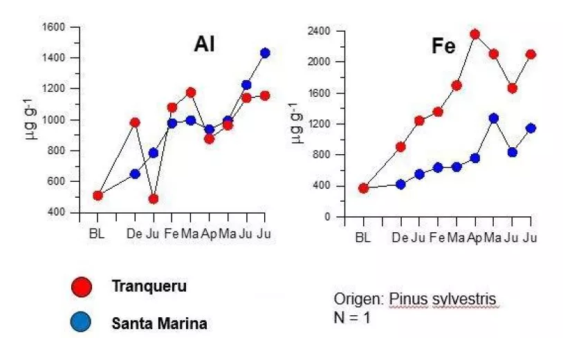 liquenes8.jpg