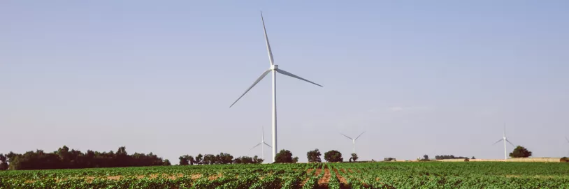 wind_banner_crop_web.jpg