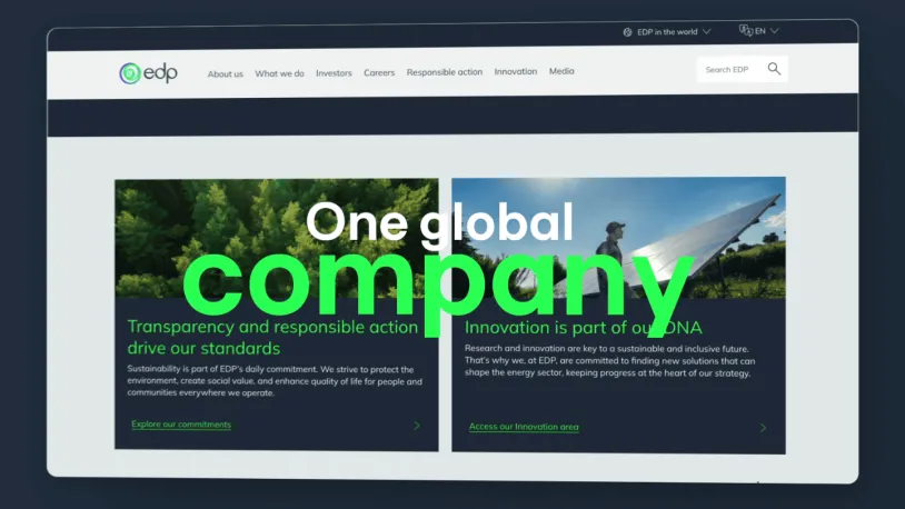 edp website global company