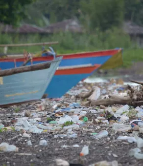 plastic-pollution.jpeg