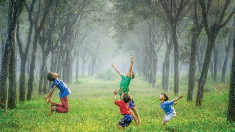 kids playing in a forest with balls