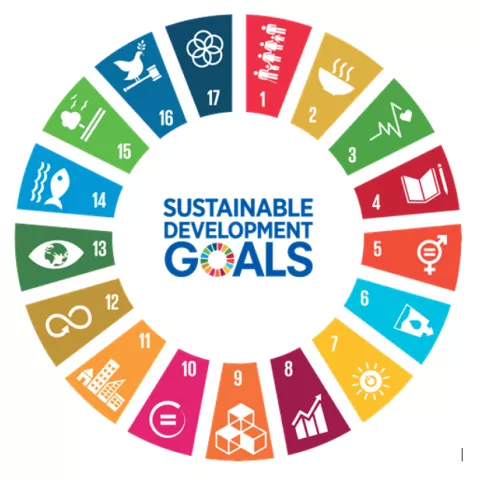 SDG%20Goals_0.jpg SDG%20Goals_0.jpg