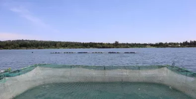 Narovinu.JPG