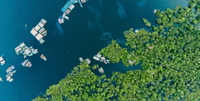 amazonas.jpg