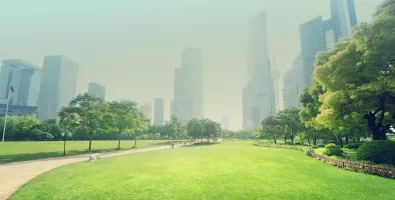 bg1_2.jpg