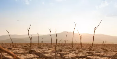 climate%20change.jpg