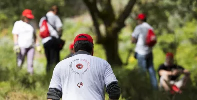 destaque_voluntariado.jpg