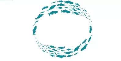 fishday_0.JPG