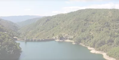 header_salamonde_ii.png