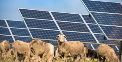 EDP%20Renewables%20Australia.jpg