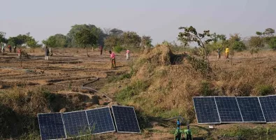 Proyecto%20%C3%81frica%20y%20Brasil_0.jpg