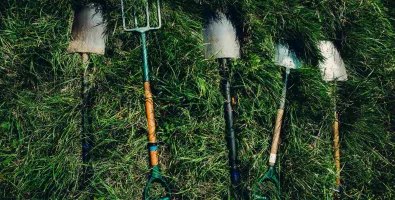 dylan-nolte-dUsmF-F-bJg-unsplash_11zon.jpg