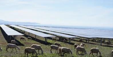Monti di Eboli Agri PV Plant