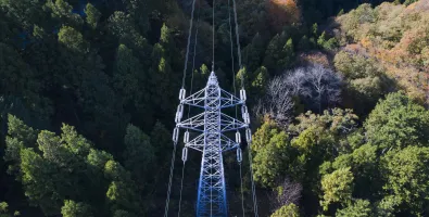 Torre de transmissão em meio à mata selvagem