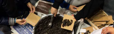 Kids' hands doing an activity with a bowl of dirt photographed from above