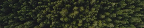 participacoes_sustentabilidade%20%281%29.jpg