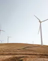 wind