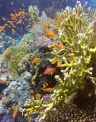 limpeza-dos-oceanos.jpg