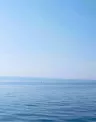 sea web