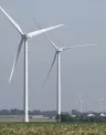 256184_201509221159396248.jpg