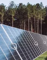 Duff-Solar-Hero.jpg
