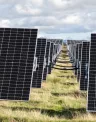 EDPRSolarPark.jpg