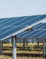 EDPR_NA_SolarPark.png