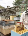Floreziendo%2C%20proyecto%20de%20Entama%20de%20Adri%C3%A1n%20Florez_0.jpg