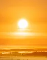 Header-Sol%20%282%29.jpg
