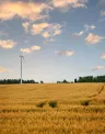 Headwaters-95edit.jpg