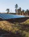 Hickory-Solar_1.jpg