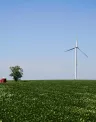 MN-Prairie-Star-Hero.jpg