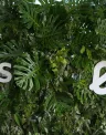 NOS_EDP_0.png