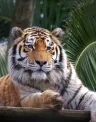 No%20trilho%20do%20vale%20dos%20tigres_%20dia%205_0.jpg