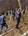 Plantaci%C3%B3n%20%C3%A1rboles%20organizada%20Fundaci%C3%B3n%20EDP%20en%20Teverga_0.jpg