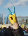 Ukraine%20Support%20Program.jpg