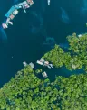 amazonas.jpg