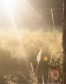 ambiental.jpg