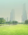 bg1_2.jpg