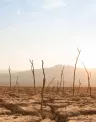 climate%20change.jpg