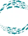 fishday_0.JPG