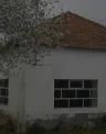 header_riba_coa.png