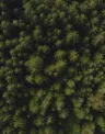 participacoes_sustentabilidade%20%281%29.jpg