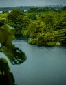 pulau_200kb_header.jpg