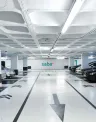 saba_reduzido_6.jpg