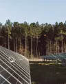 sc_solarpark_2018-141-1.jpg